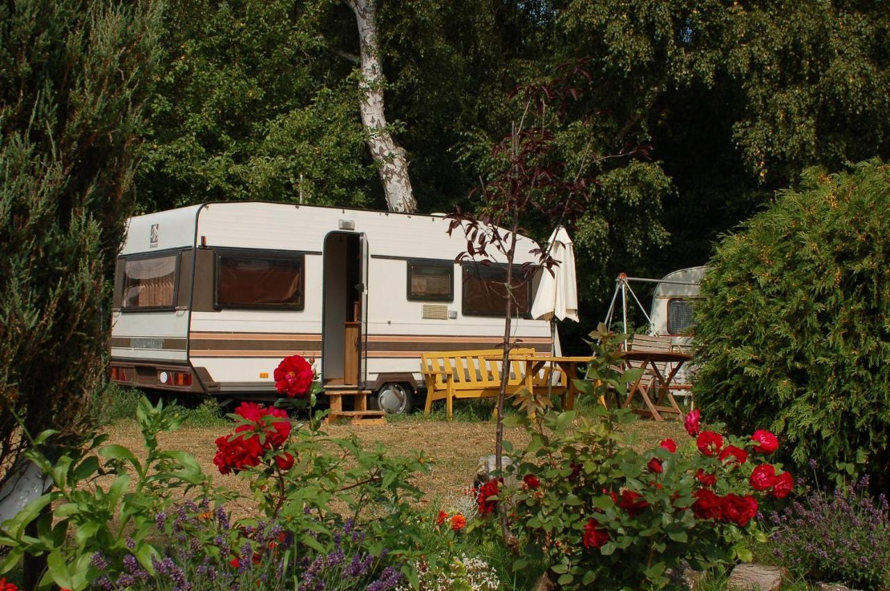 Camping Rogowo Мжежино Экстерьер фото