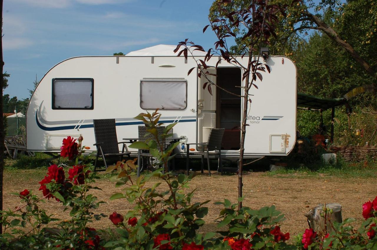 Camping Rogowo Мжежино Экстерьер фото