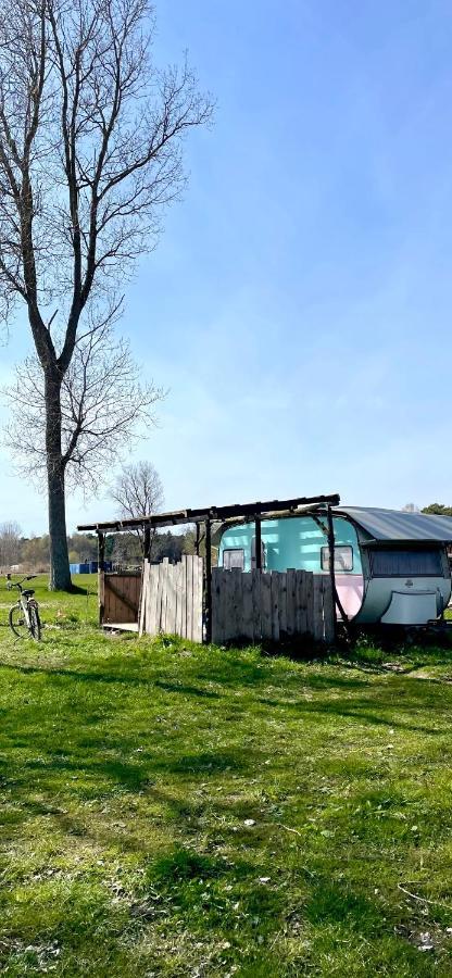 Camping Rogowo Мжежино Экстерьер фото