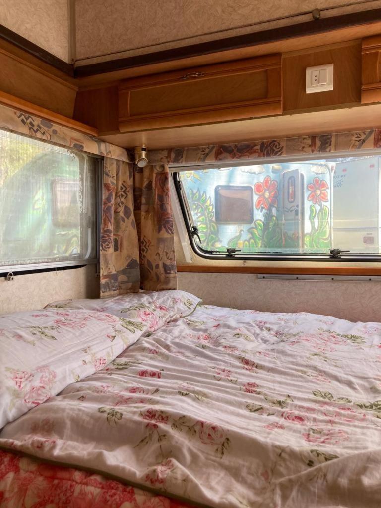 Camping Rogowo Мжежино Номер фото